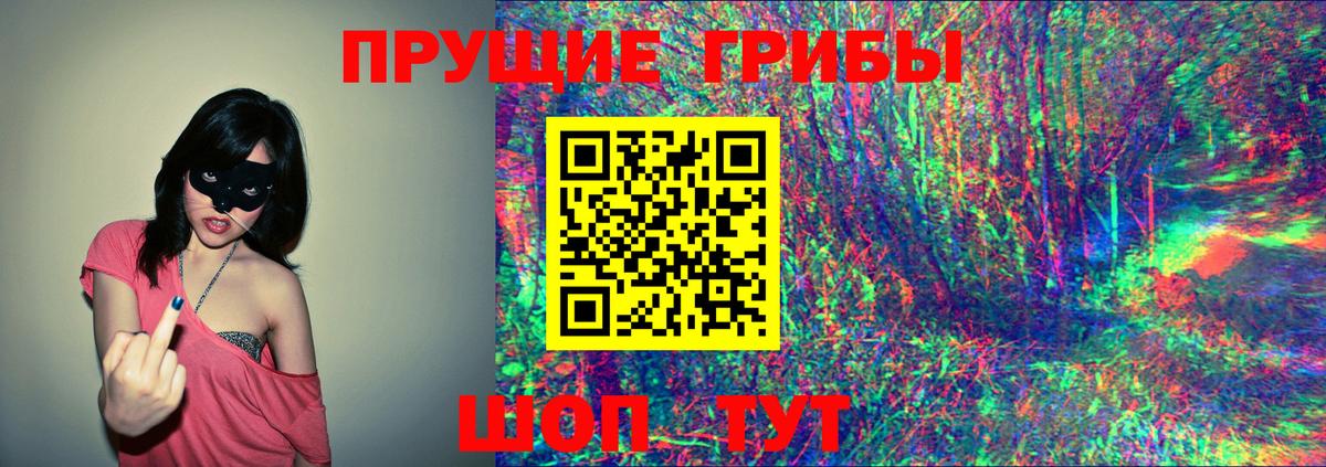 Зима  Псилоцибиновые грибы ЛСД  Вход с VPN  Псилоцибиновые грибы ЛСД 
